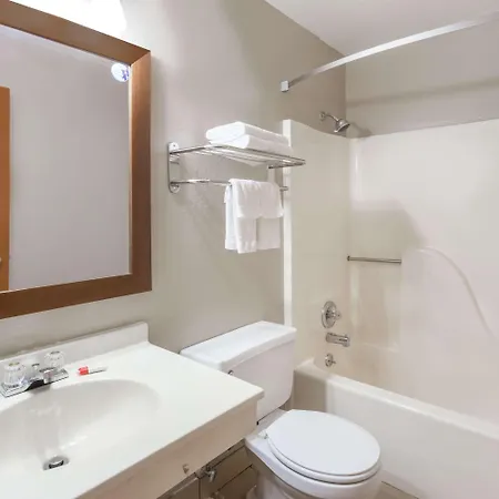 Super 8 By Wyndham Iowa City/Coralville Room photo